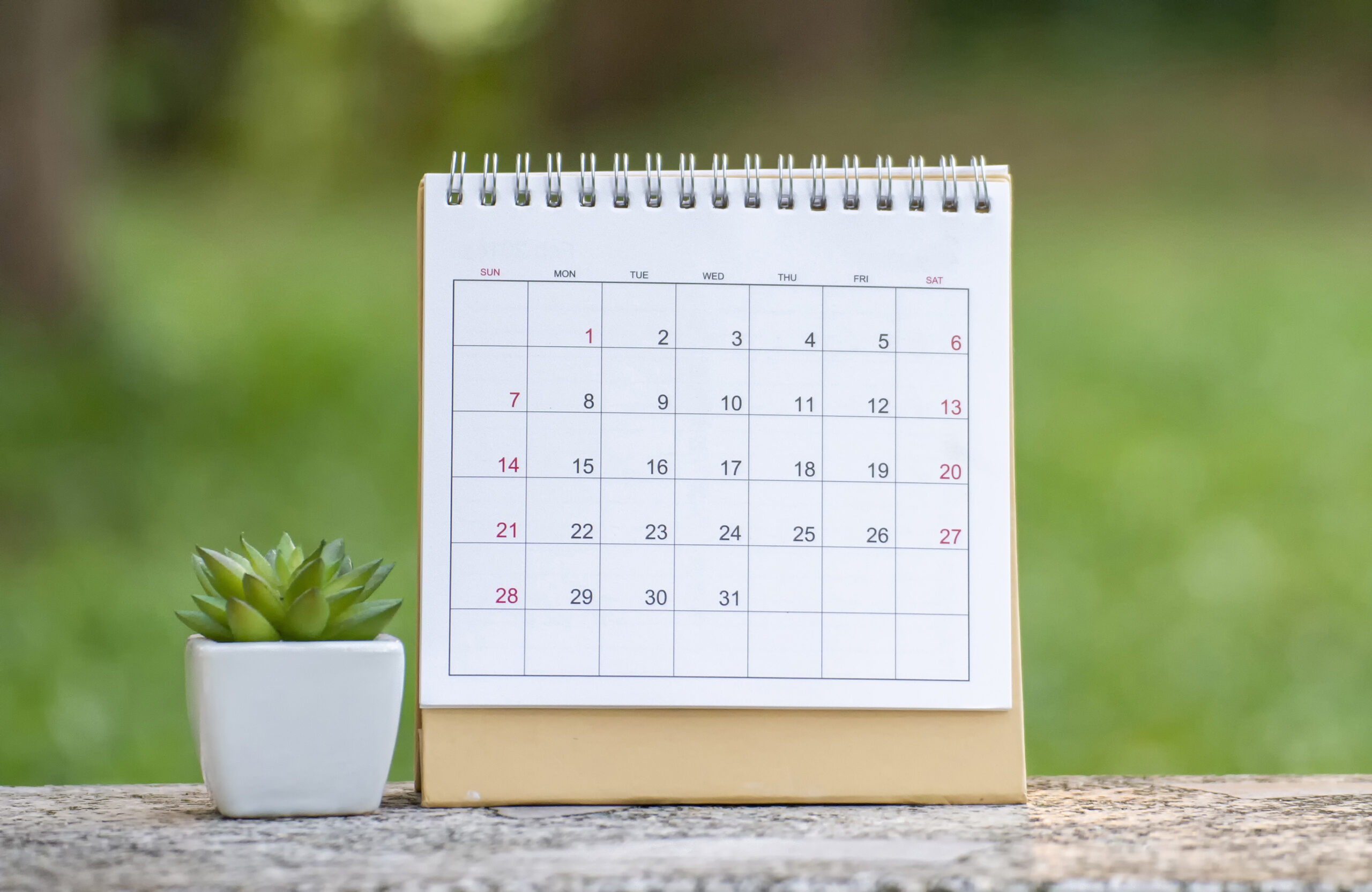 Kalender mit Pflanze – Symbol für Wachstum & Planung