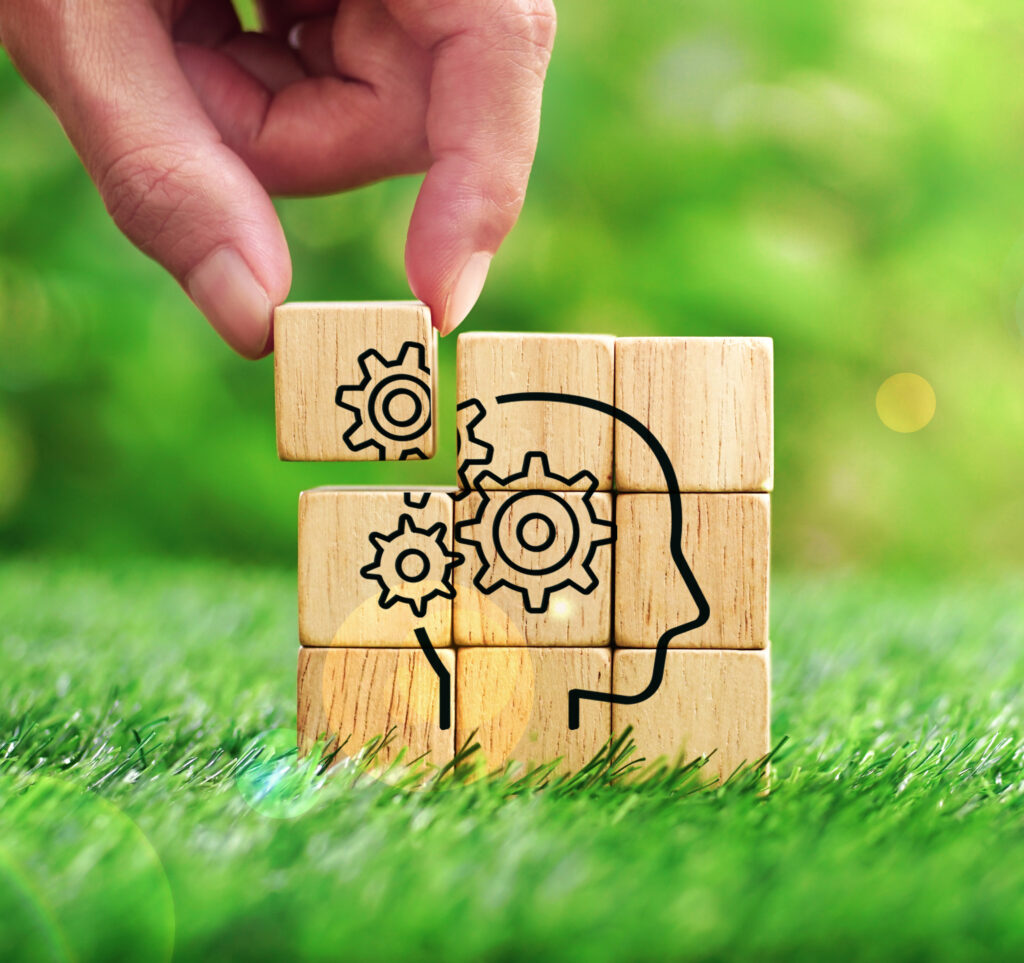 Symbolische Darstellung psychischer Prozesse – Gehirn-Puzzle auf Holzklötzen in grüner Umgebung